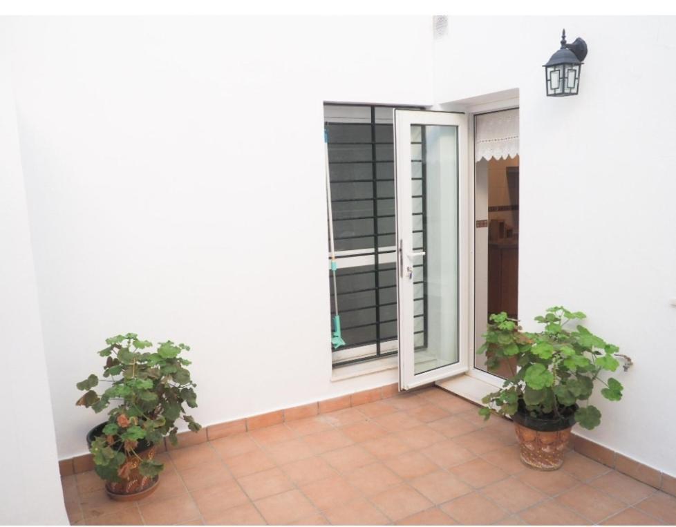 Conilplus Apartment Castilnovo Conil De La Frontera Exteriér fotografie